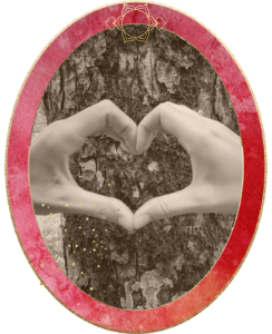 Singlecoaching für erfüllte Liebesbeziehung