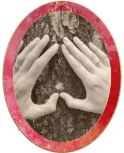 Singlecoaching für erfüllte Liebesbeziehung